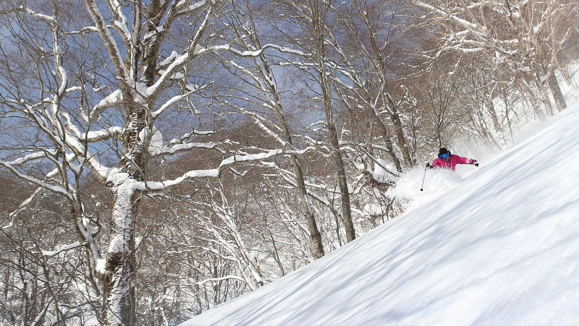 【下倉スキー場】たっぷりのパウダーをまき上げて進むダイナミックな滑り。