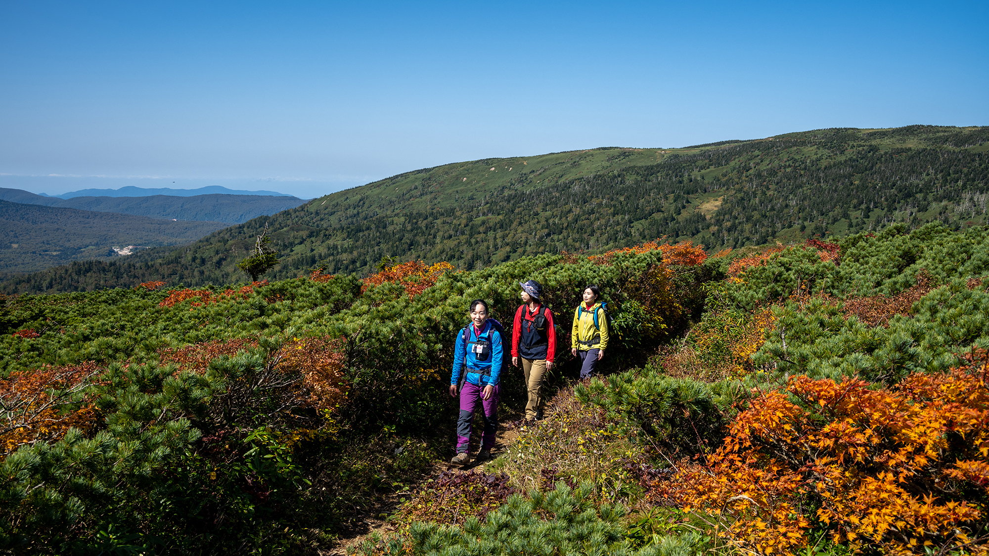 【畚岳登山道】360度、どこを見渡しても大自然！秋はミネカエデの紅葉が人気