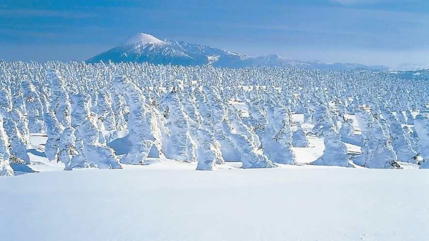 【樹氷】冬の八幡平の見どころの1つでもある樹氷。白の鎧をまとった木々が密集している光景は絶景です。