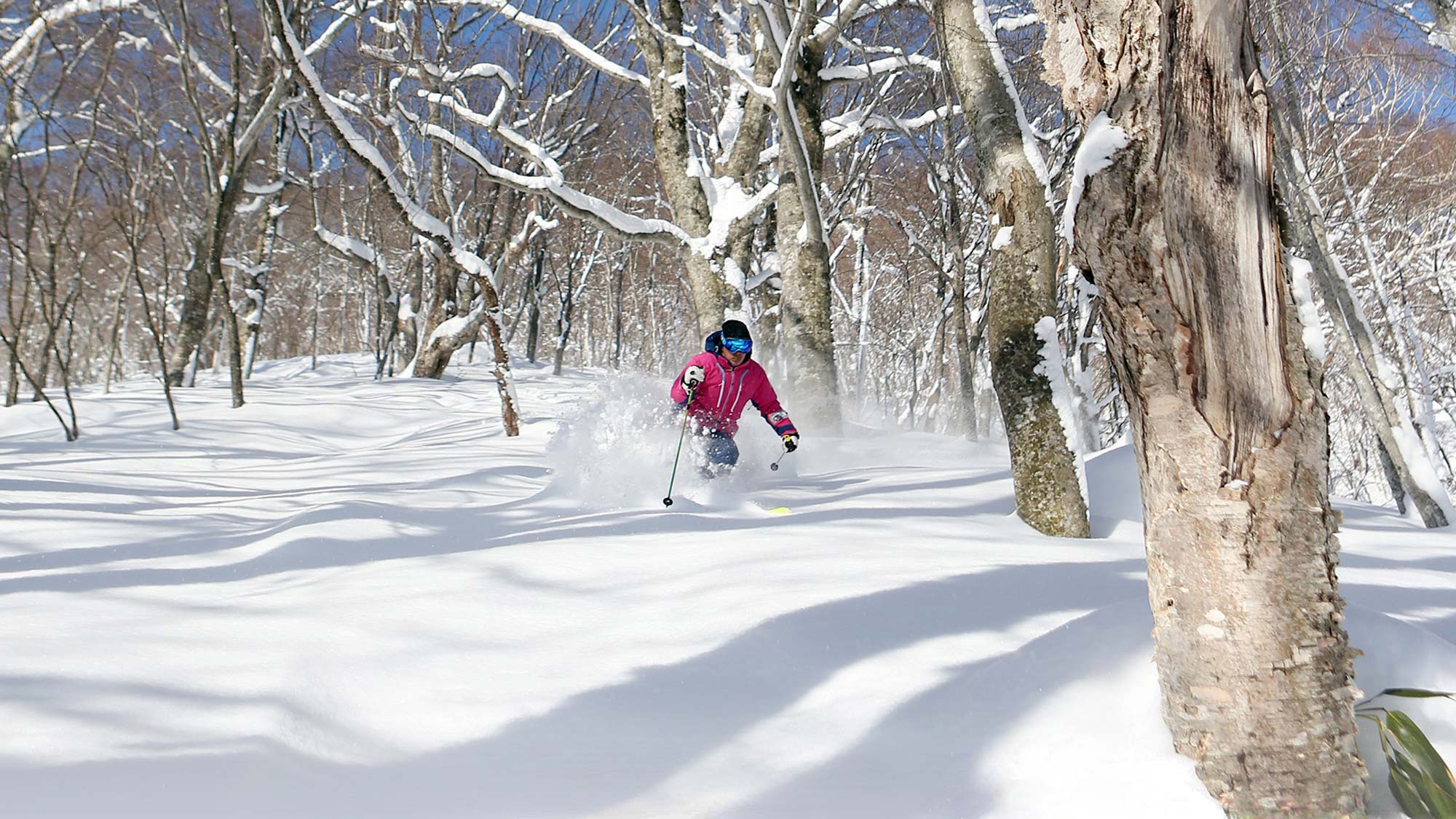 【下倉スキー場】全14コースものコースが設備されており、自分に合ったスキーを楽しむことができます。