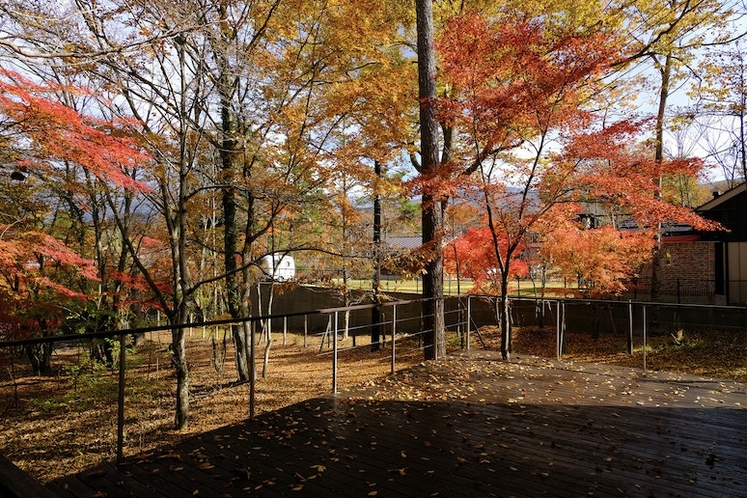 紅葉時のベランダ・10〜11月頃