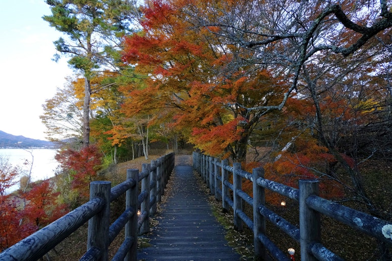 旭が丘湖畔緑地公園