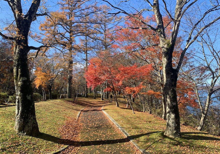 マリモ通りを越えると目の前は湖畔緑地公園