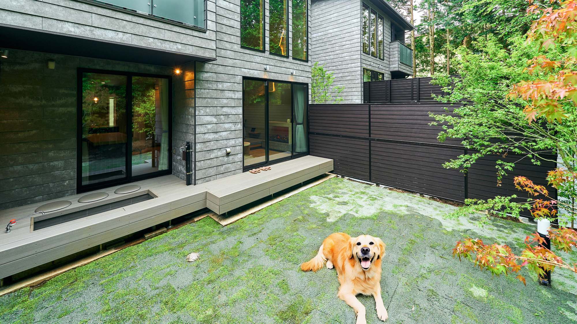 【イメージ】一部のペット可客室は愛犬と一緒にご宿泊いただけます