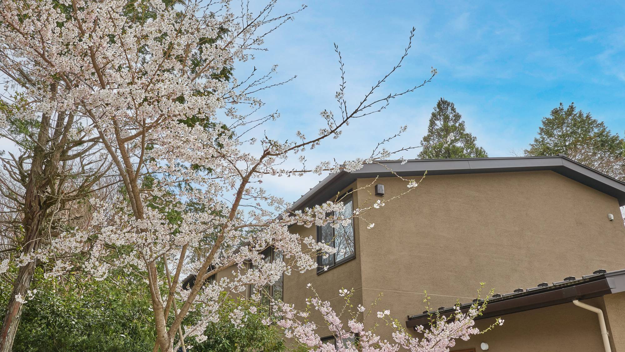 【南館】外観/Rakuten STAY VILLA 箱根仙石原 南館