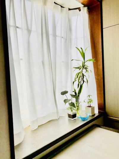 ダイニングDining