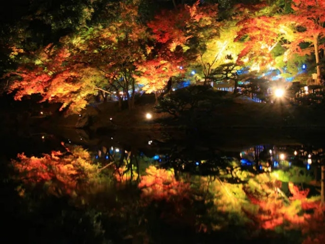 時期によっては栗林公園のライトアップが 見れます