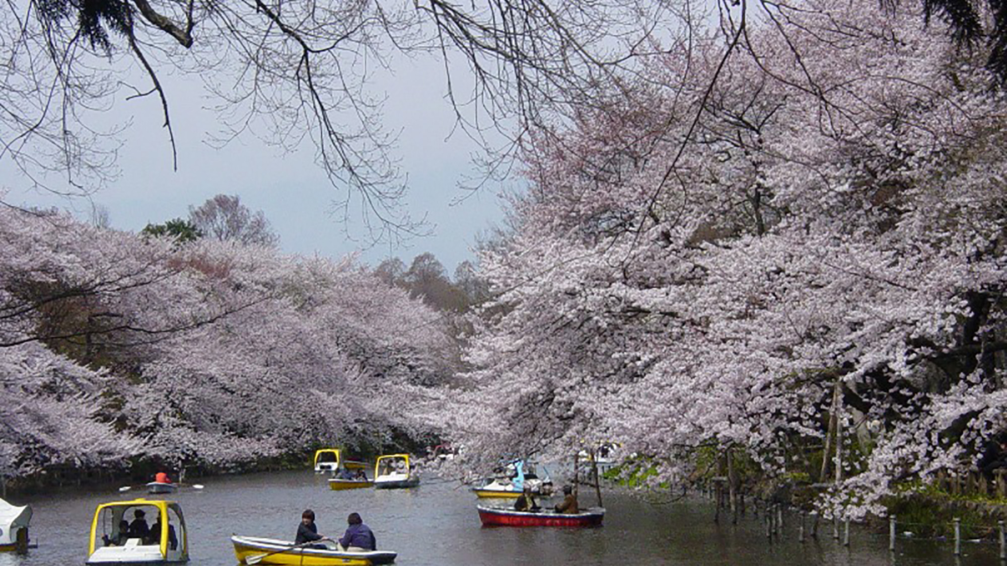 【観光】井の頭恩賜公園