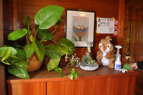 密無し 感染対策 ペンション沖縄 森のうさぎ vacation stay提供 宿泊予約 楽天トラベル 密無し 感染対策 ペンション沖縄 森のうさぎ vacation stay提供 宿泊予約 楽天トラベル