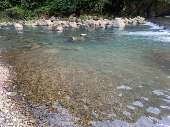 晴れた日の早川はエメラルドグリーンです。