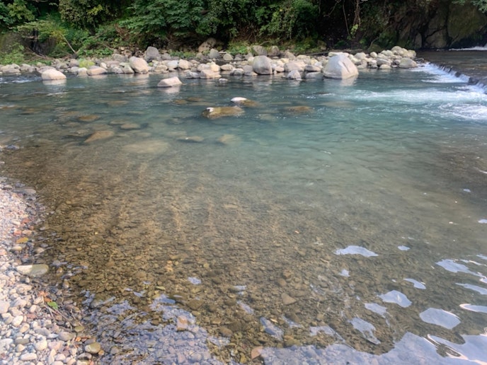 晴れた日の早川の透明度