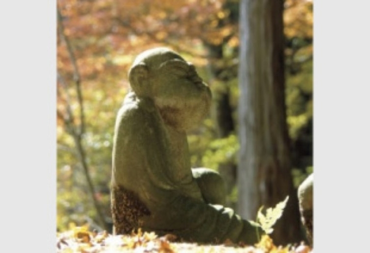 長安寺  四季折々の花が植えられ"花の寺"とも呼ばれています。秋は紅葉の名所としても有名で、美しい紅