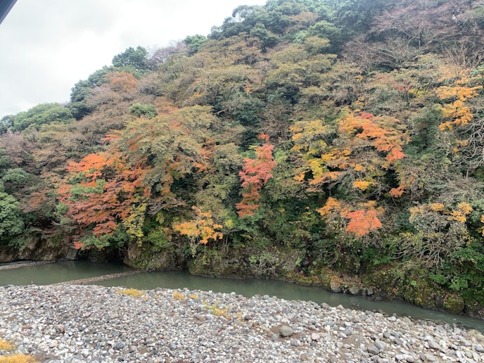 お部屋からの紅葉と川