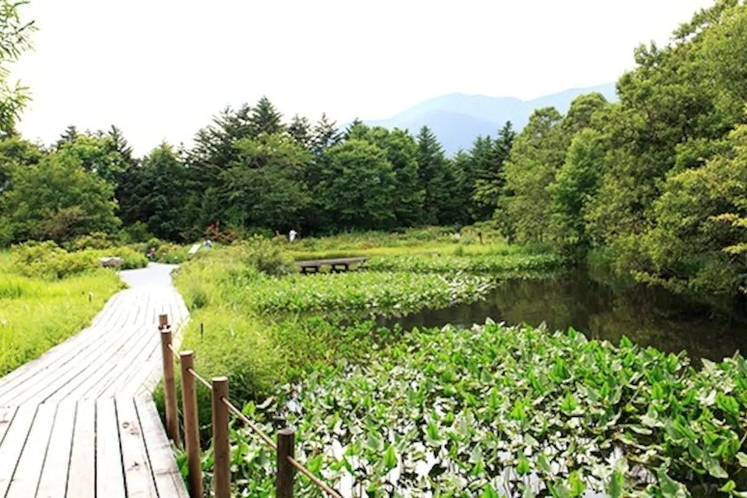 湿生花園 Shissei-Kaen