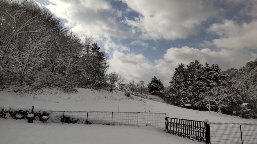 雪の庭と畑