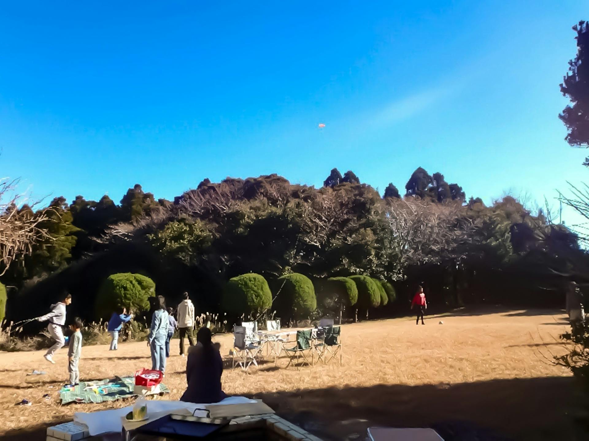 ・凧あげもできるほど広いスペース