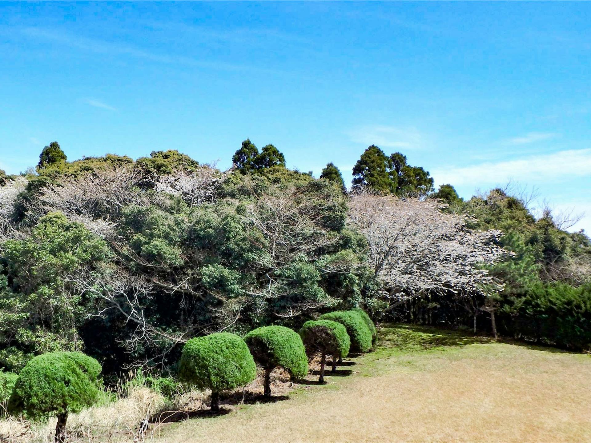 ・自然を感じながらお過ごしください