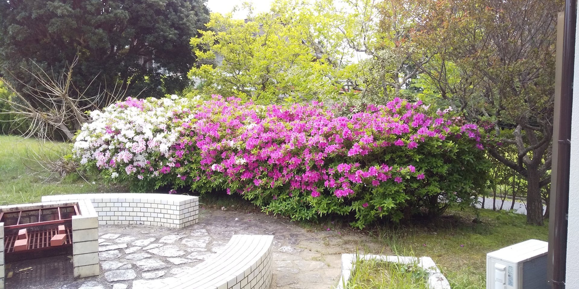 4月下旬 つつじの咲くころ