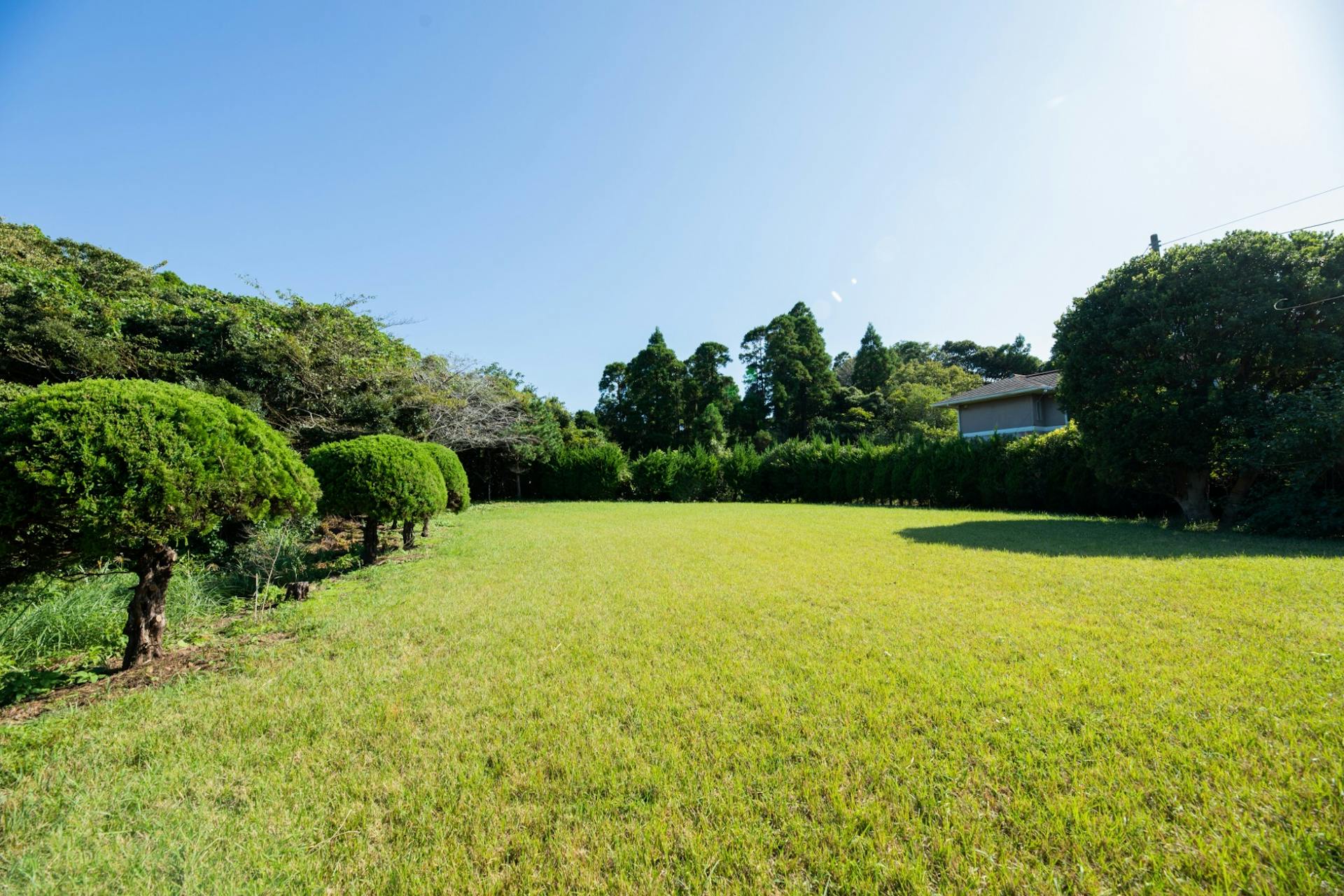 何もない広い庭　370坪