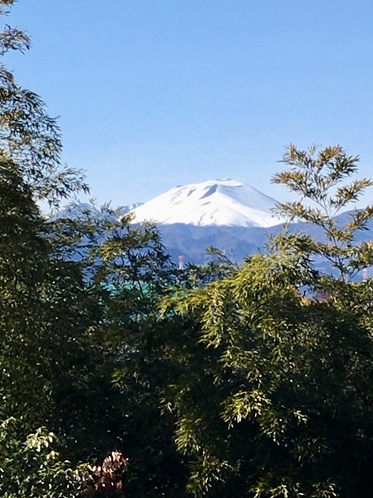 裏庭からの景色：妙義山＆浅間山