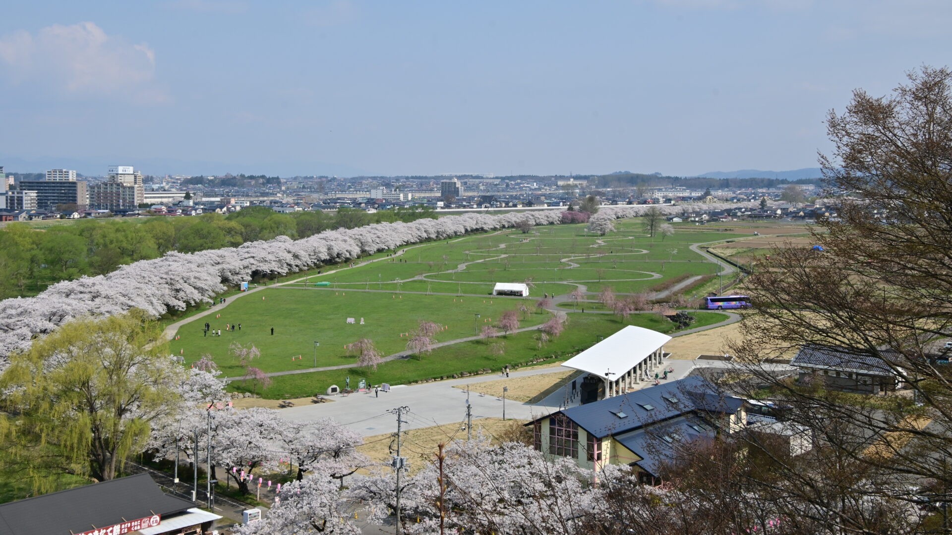 【展勝地】陣ケ丘から見た並木