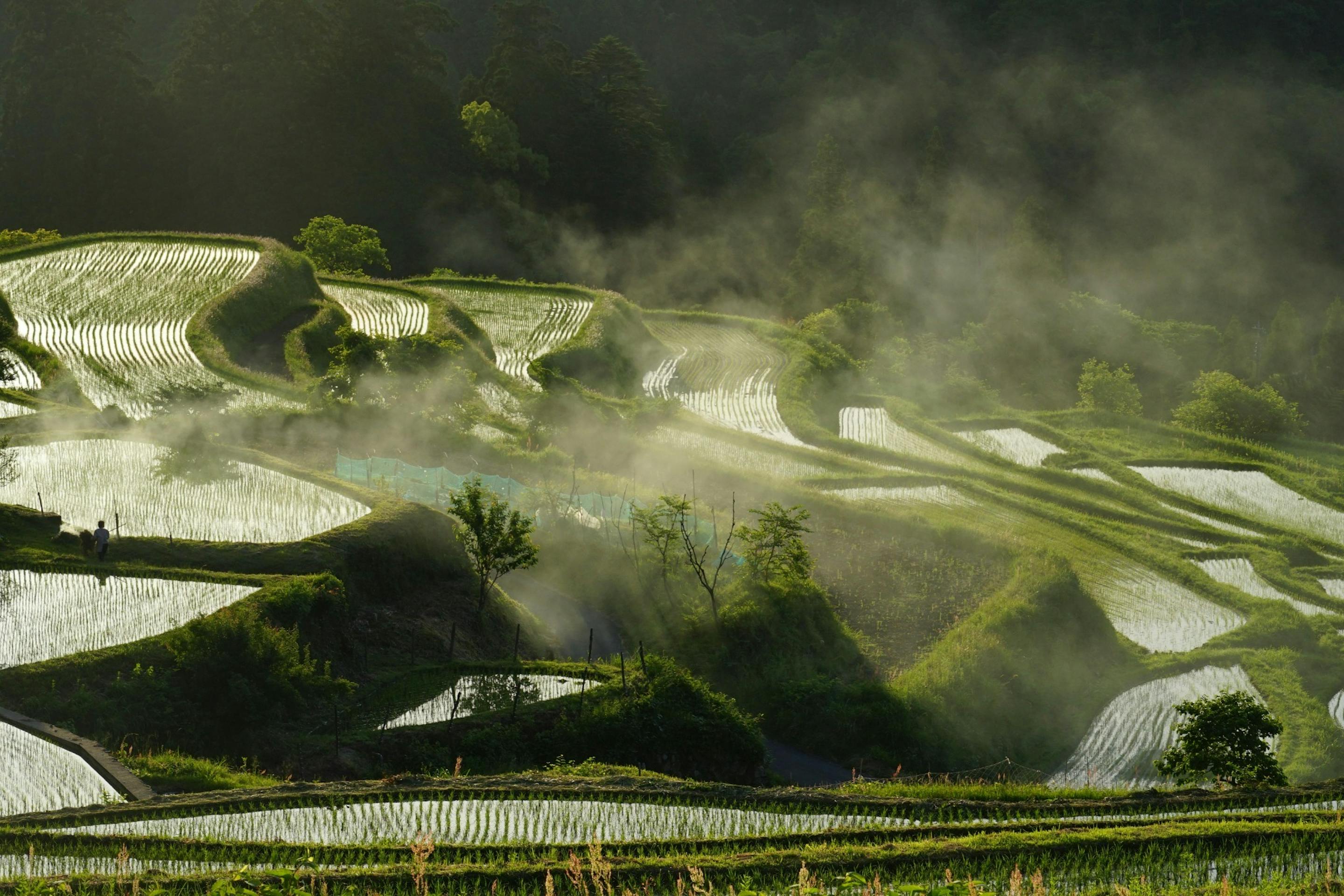 畑の棚田（日本の棚田百選） 宿から車で30分