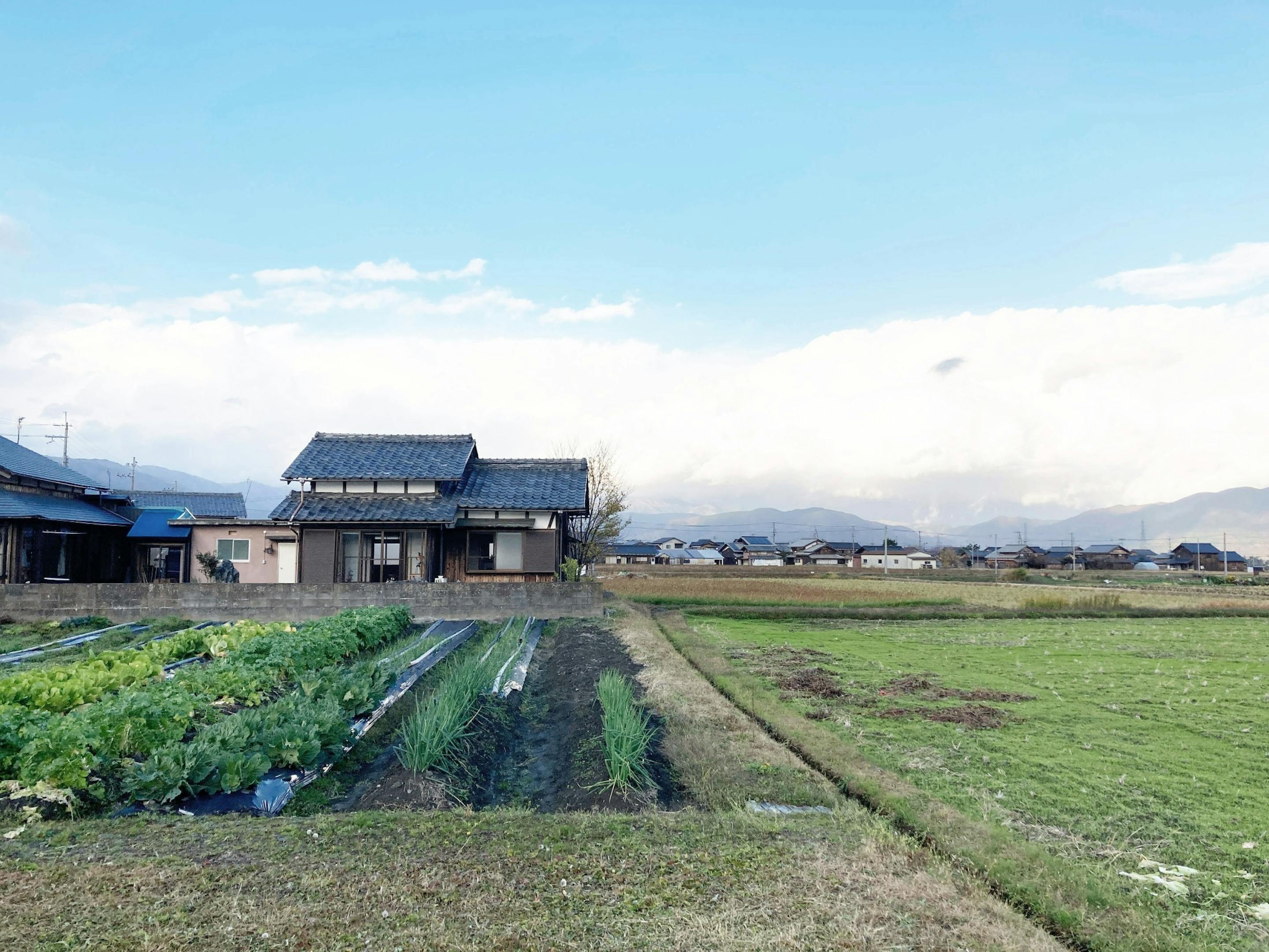 母屋以外の３方向には田んぼや畑
