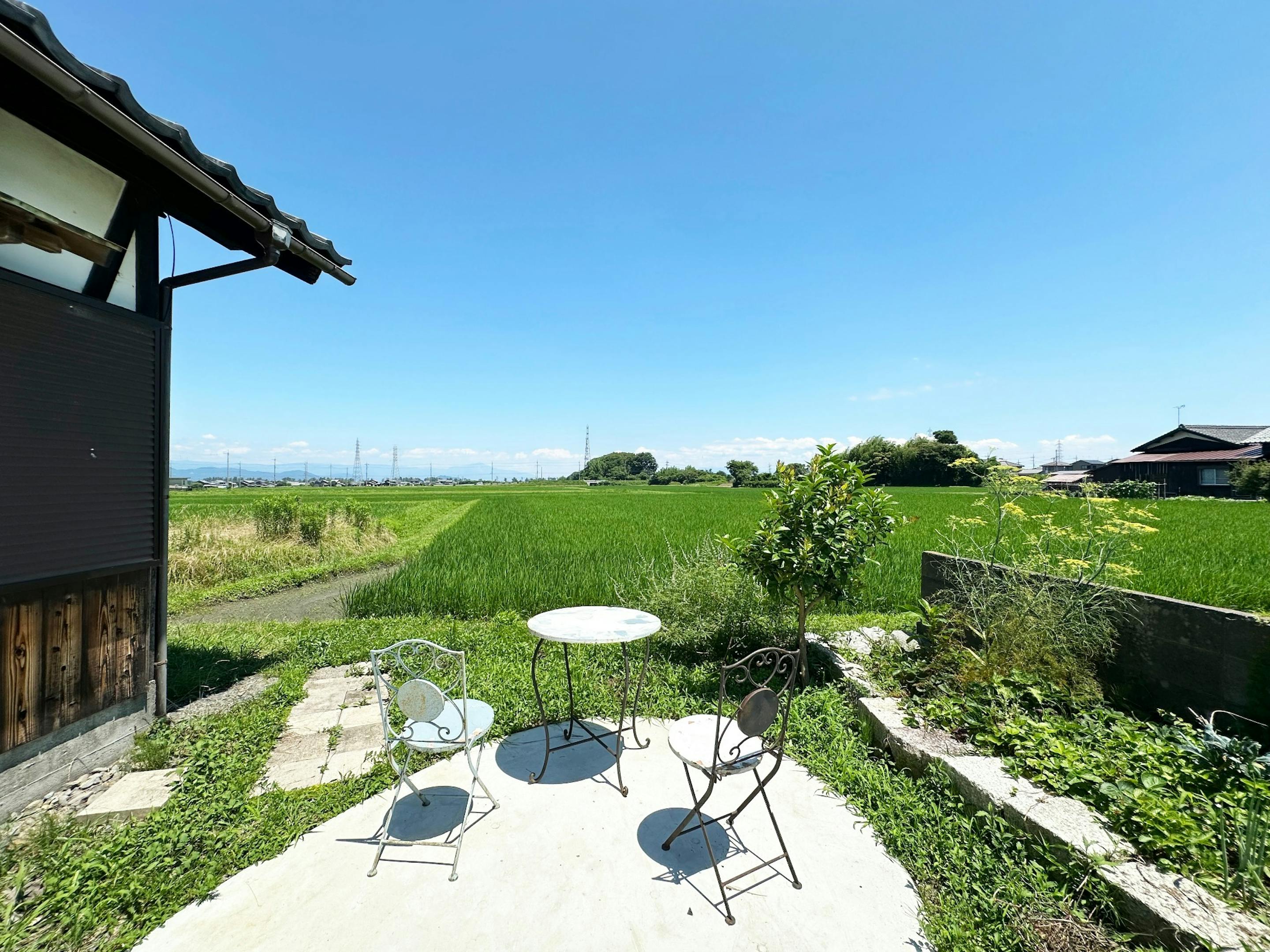 BBQをするのに十分な広さの庭