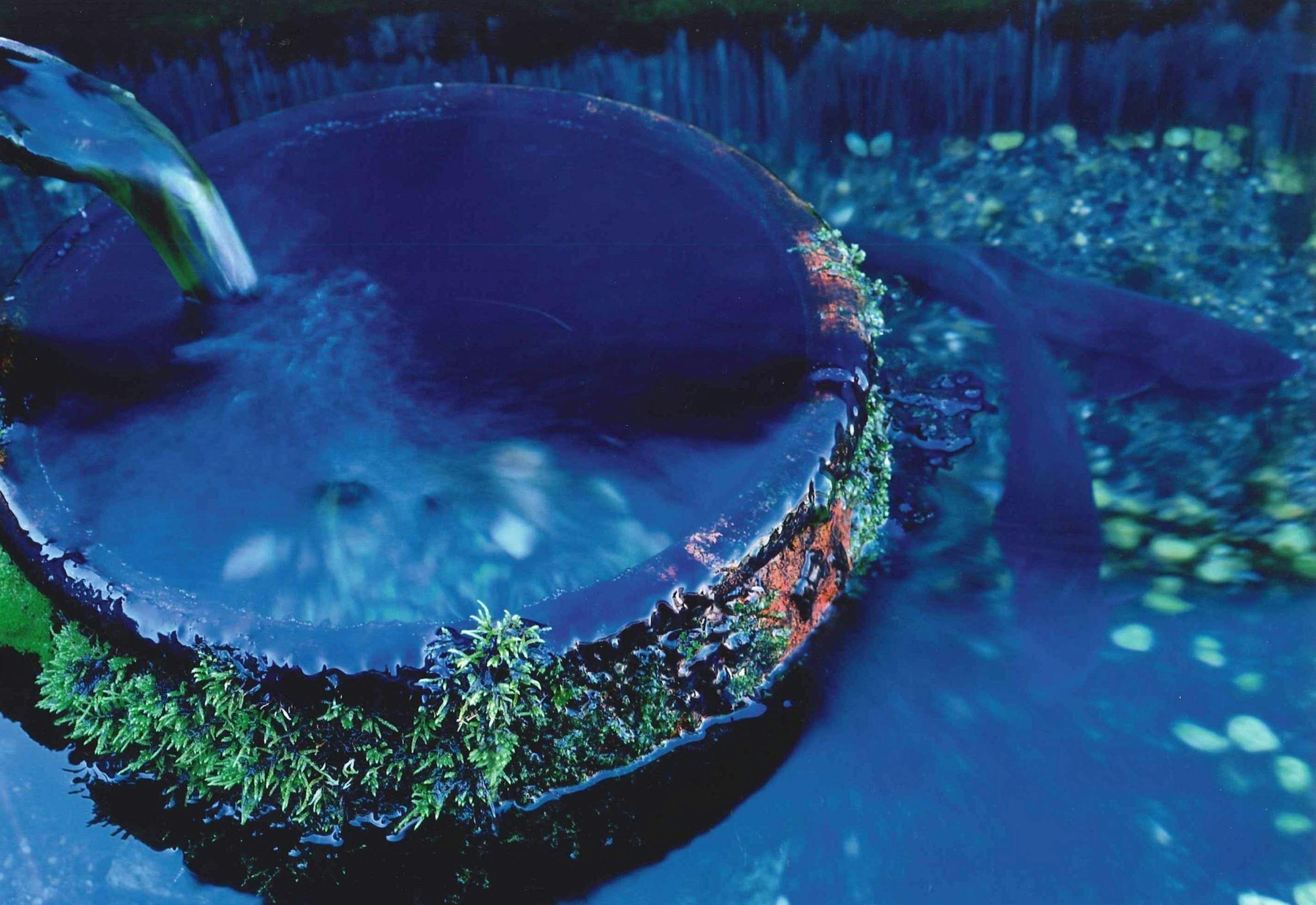 針江の生水 宿から車で10分