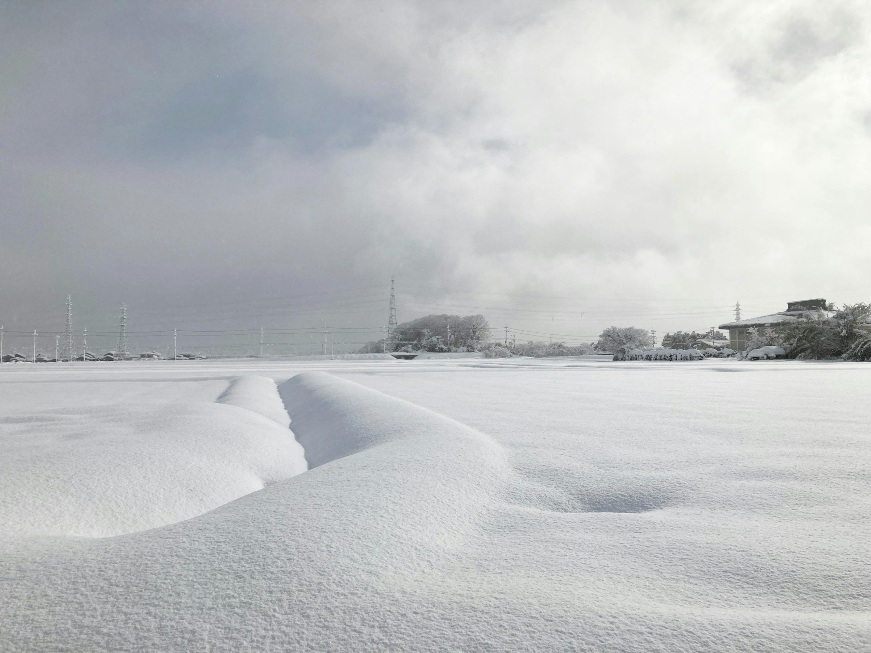 冬には雪が積もる地域です