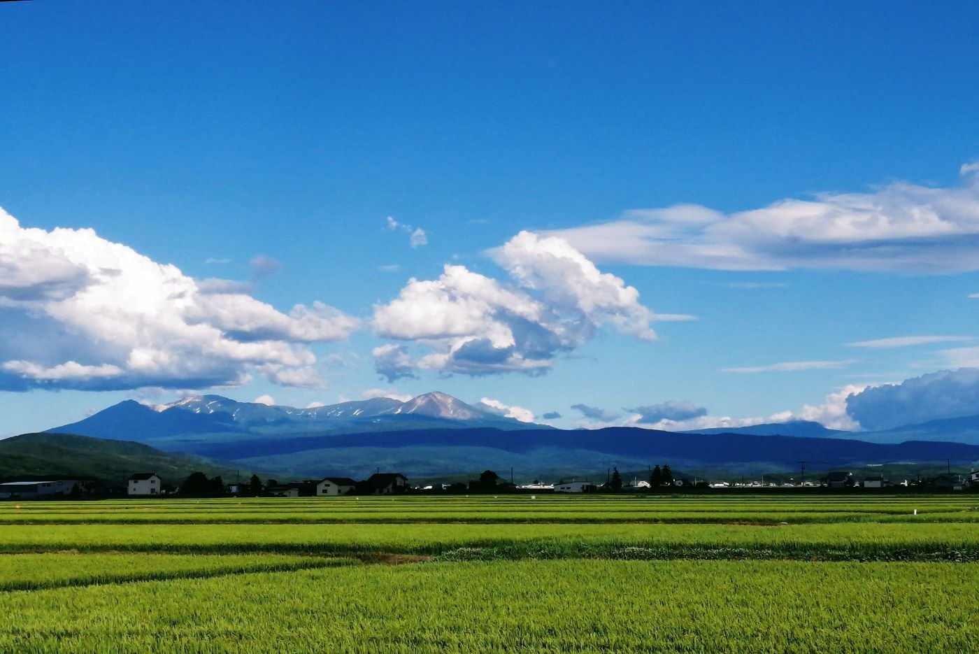 夏：北海道で最も高い山’旭岳’