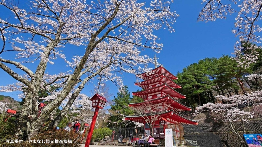 新倉山浅間公園：当館から車で約14分