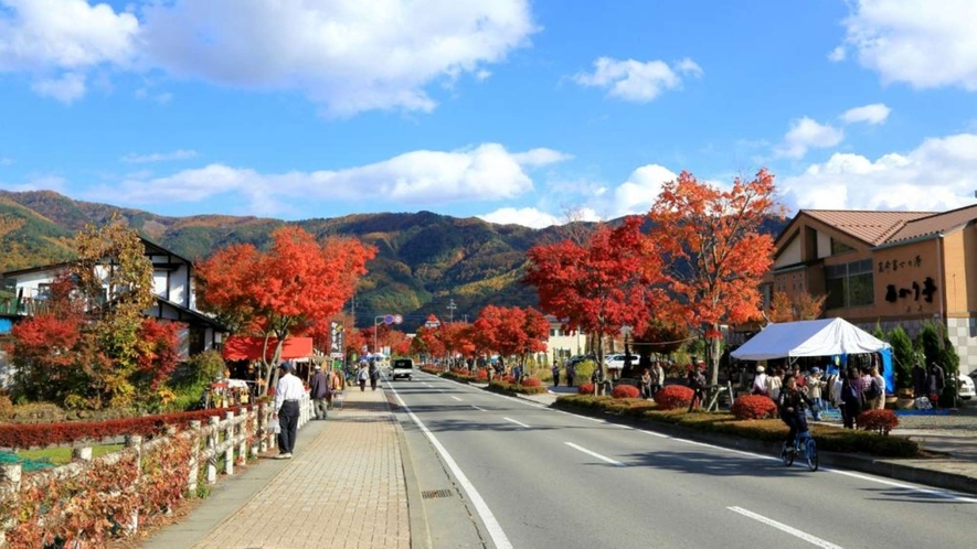 富士河口湖紅葉まつり：11月上旬～下旬　河口湖畔 もみじ回廊（河口湖美術館通り）