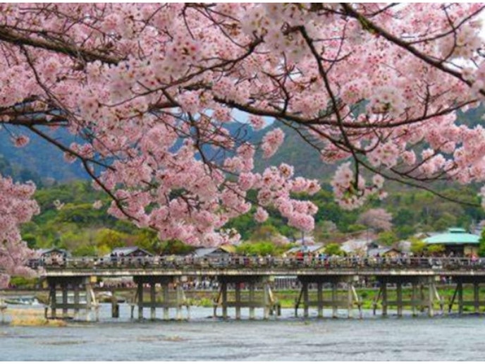 嵐山 徒歩3分の最寄りバス停(千本丸太町)から乗り換えなしバス25~30分