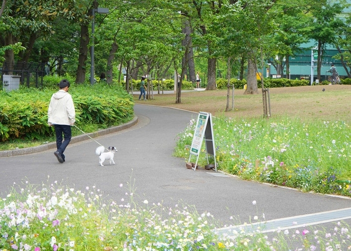 西新宿公園まで徒歩15分 最高の散歩コース!