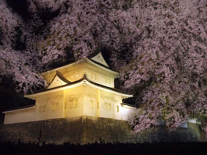 二条城 自転車15分 Nijo castle 15min by bike