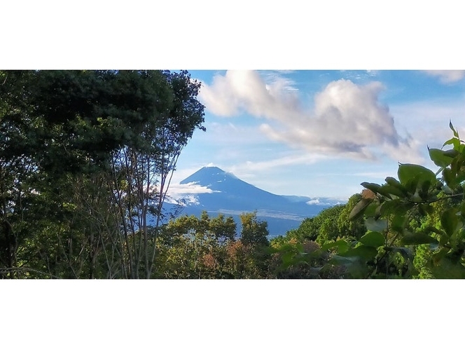 部屋から富士山見えます