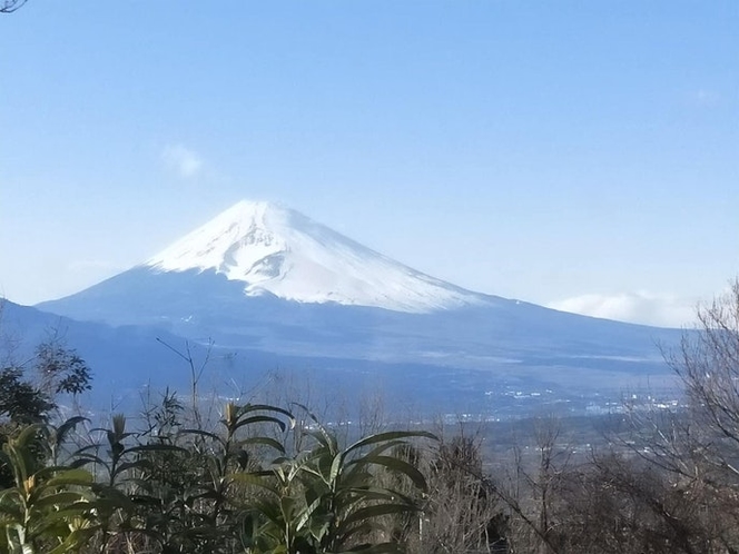 リビングから見える富士山