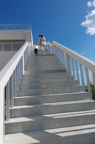 屋上へ続く階段。階段を上るとそこは360°パノラマの絶景！
