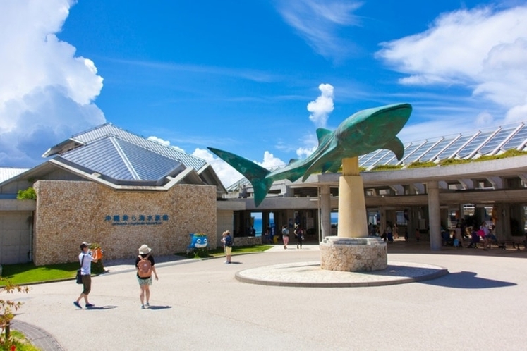 美ら海水族館まで10分