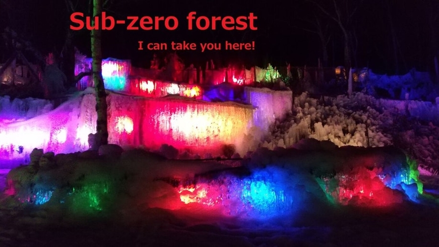 氷点下の森 (冬季限定) 車で約50分。  Sub-Zero forest I can...