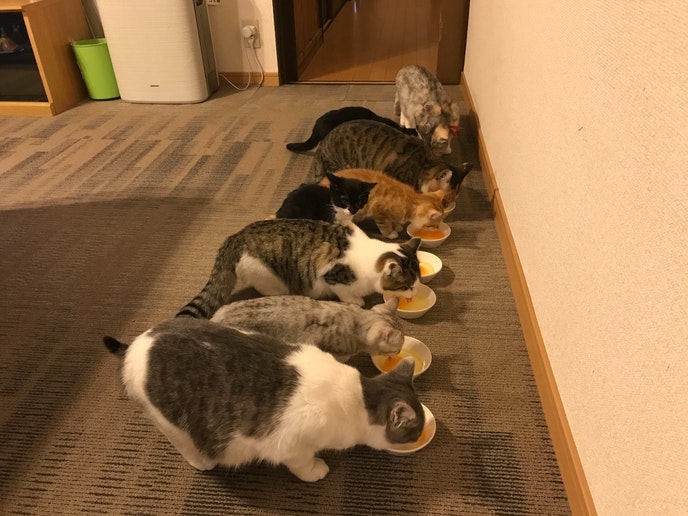 ゲストさんが来ると後でたまごがもらえるの&hearts;