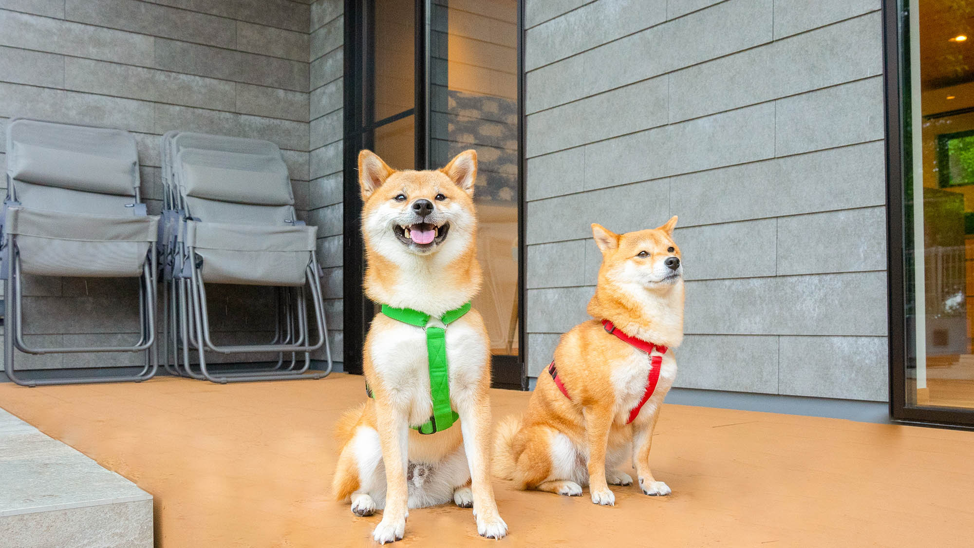 【ペット同泊可】ペットも走れる広々ウッドデッキ