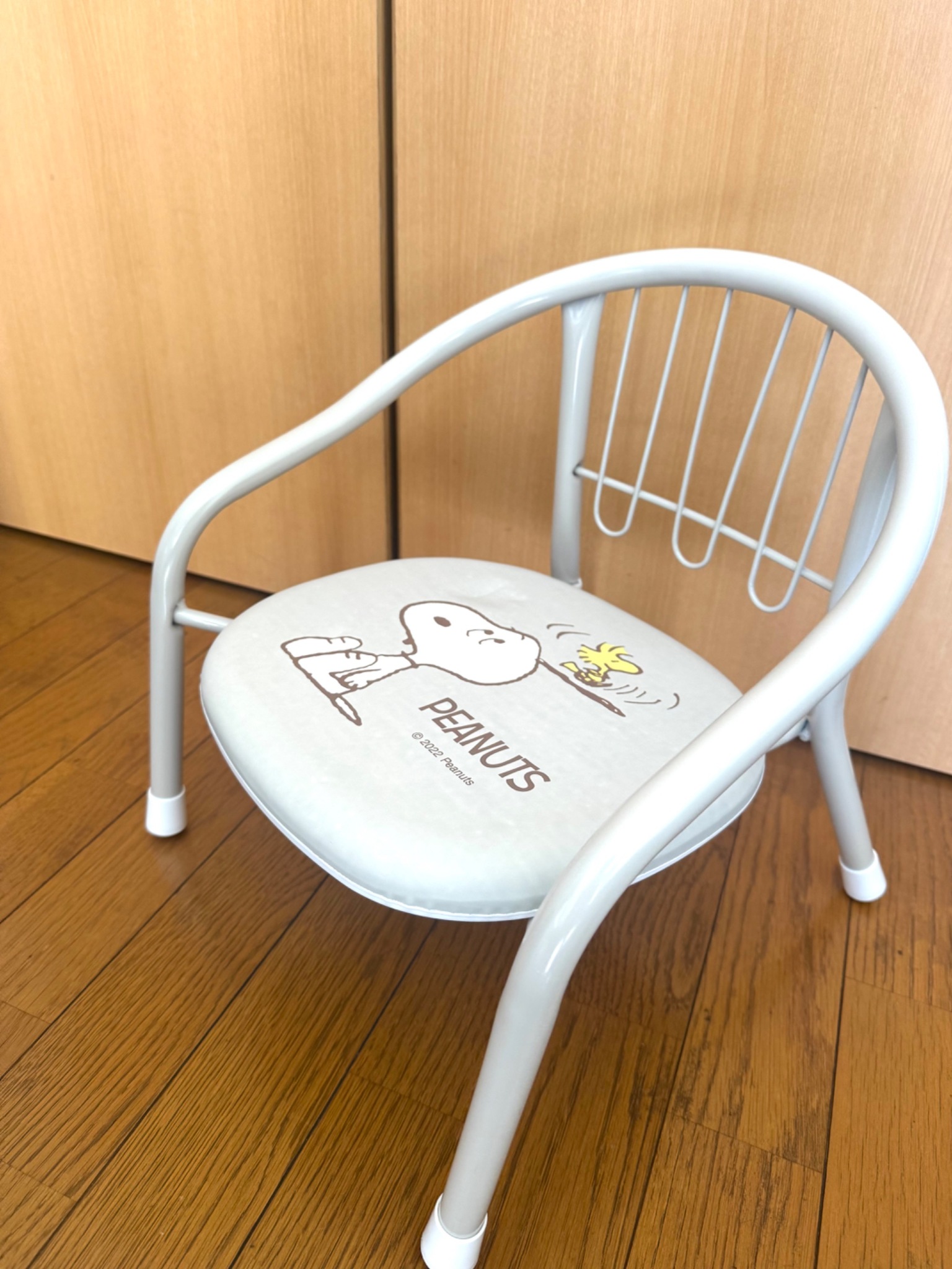 数に限りがあります。事前リクエストしてください