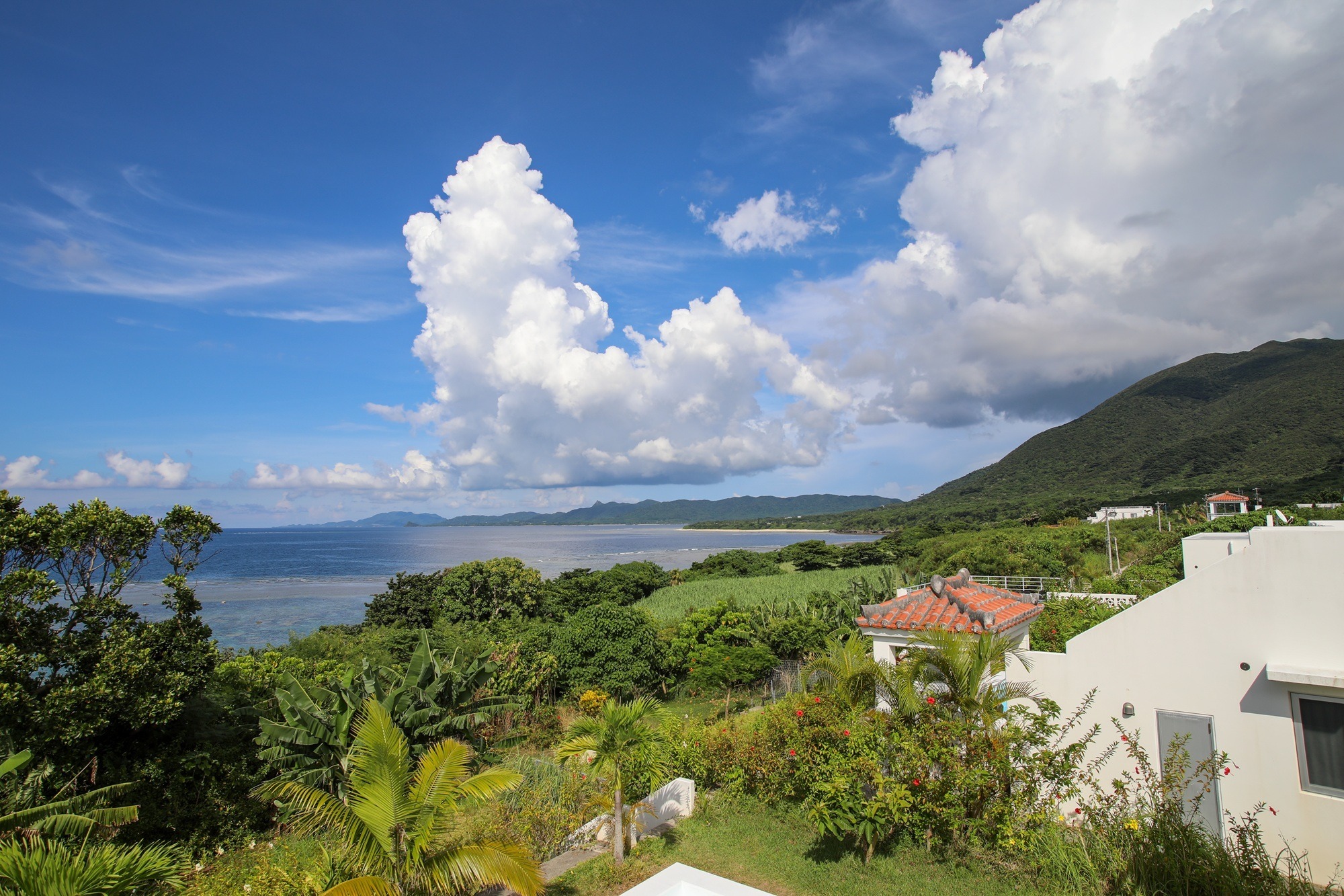 景色｜ヴィラ屋上からの景観