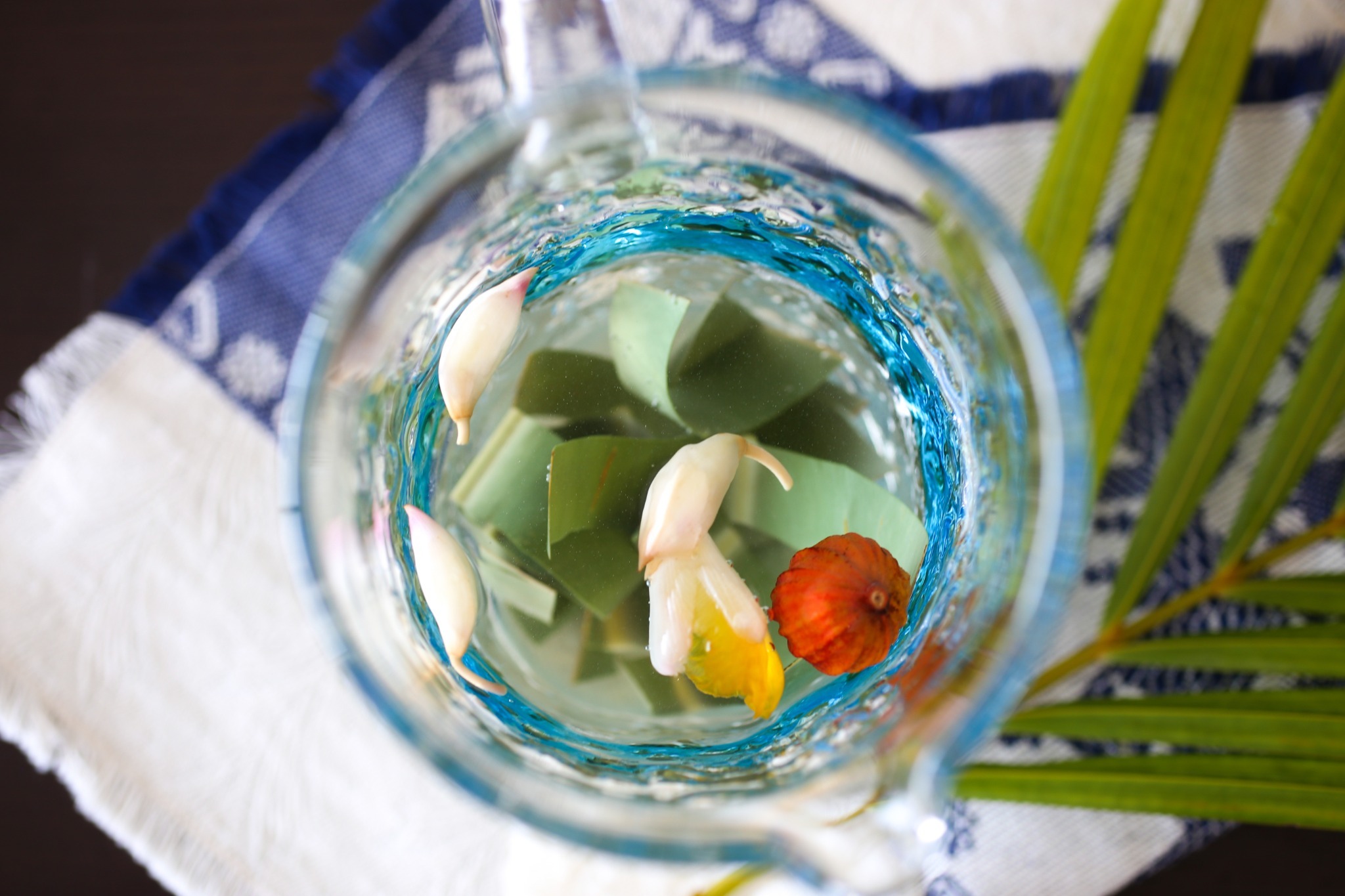 アクティビティ｜森のテラスのハーブを摘んで楽しむハーブティー