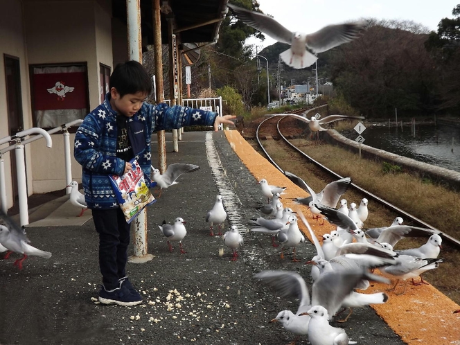 佐久米駅のカモメ