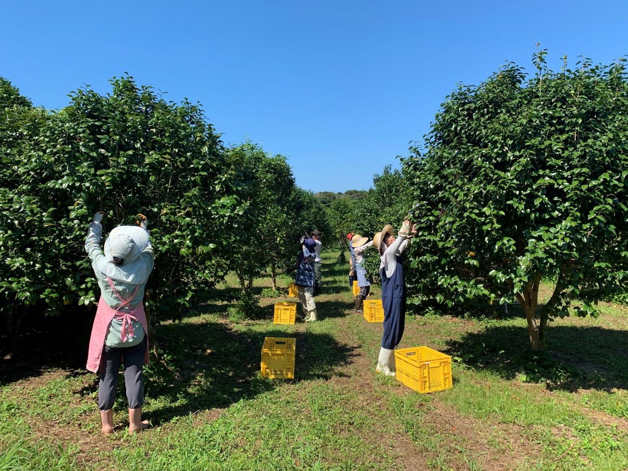 【長崎県しま旅下五島×その他体験】＜１泊素泊まり＞五島の椿トラベルキット付きプラン