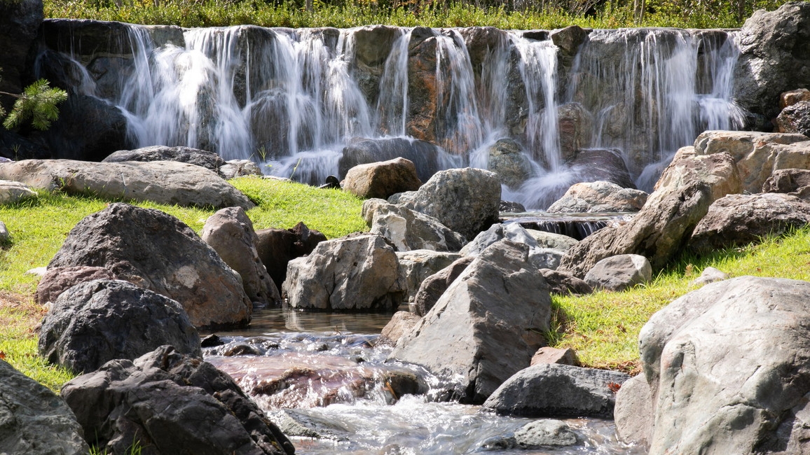 ≪本館ご宿泊≫豪華フルコース「ふぐ特別会席」プラン【1泊2食付】
