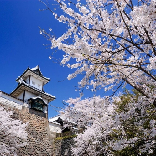【石川門と桜】写真提供：公益社団法人石川県観光連盟
